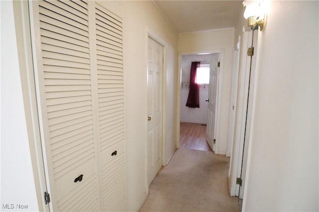 2906 Goble Dr, Lorain, OH 44055 - photo 16
