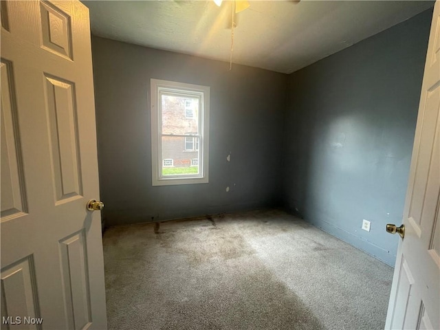 7617 Superior Ave, Cleveland, OH 44103 - photo 9