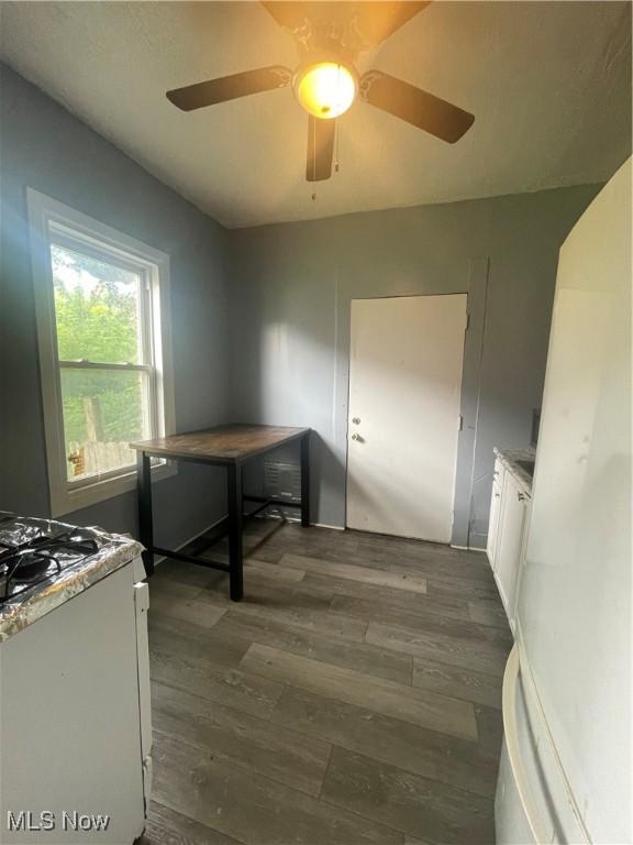 7617 Superior Ave, Cleveland, OH 44103 - photo 13