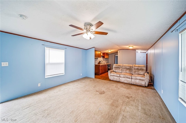 20 Eddie Rd, Madison, OH 44057 - photo 7