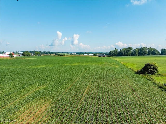 13617 Nussbaum Rd, Dalton, OH 44618 - photo 21