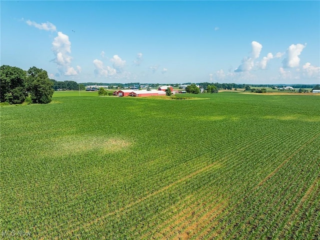 13617 Nussbaum Rd, Dalton, OH 44618 - photo 24