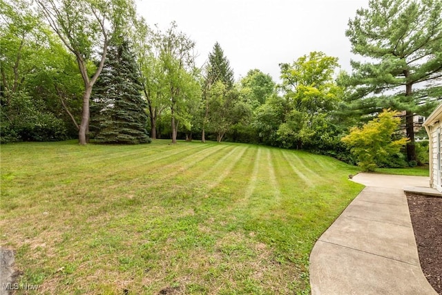29626 Gates Mills Blvd, Pepper Pike, OH 44124 - photo 44