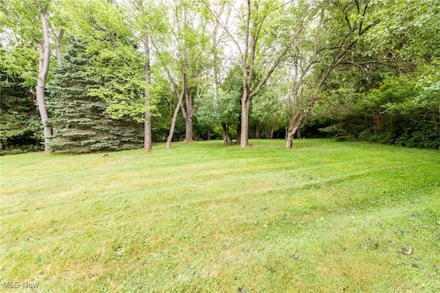 29626 Gates Mills Blvd, Pepper Pike, OH 44124 - photo 46