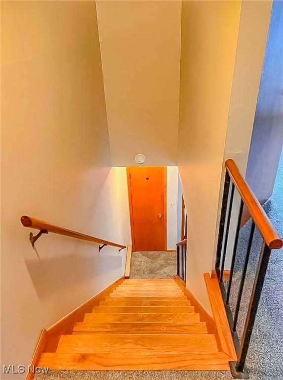 910 Carlisle St, Martins Ferry, OH 43935 - photo 21