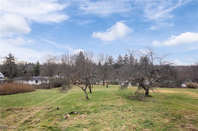 331 SE Ave, Tallmadge, OH 44278 - photo 23