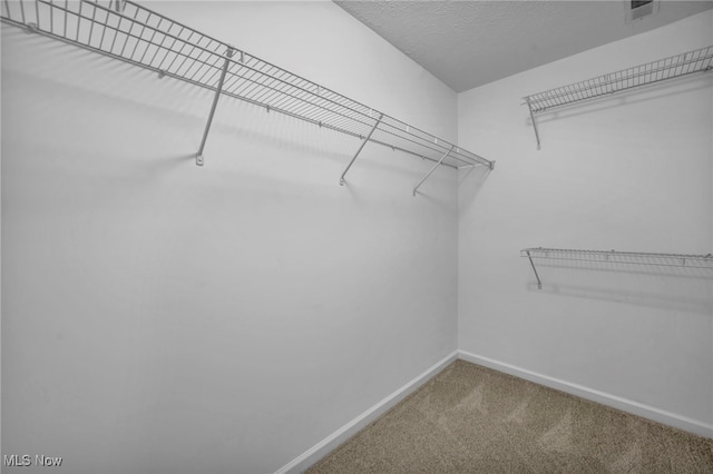 1917 Spruce Ln, Painesville, OH 44077 - photo 23
