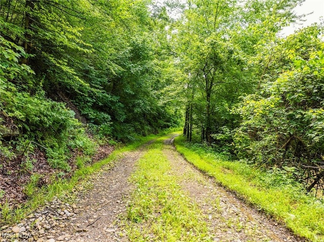 Plainfield Rd, Kimbolton, OH 43749 - photo 4