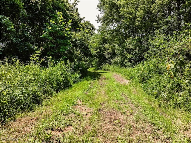 Plainfield Rd, Kimbolton, OH 43749 - photo 12
