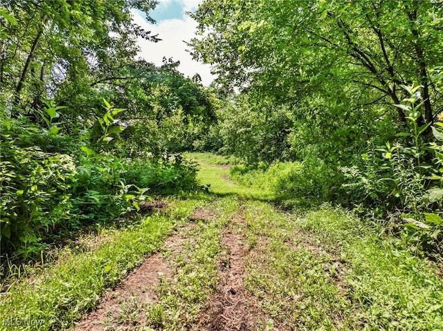 Plainfield Rd, Kimbolton, OH 43749 - photo 13