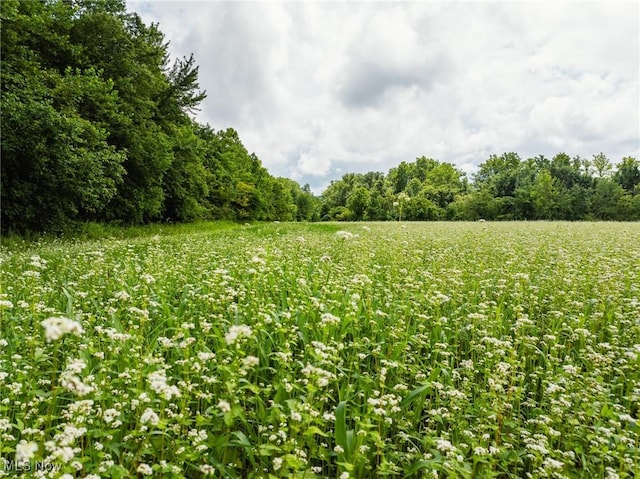 Plainfield Rd, Kimbolton, OH 43749 - photo 15