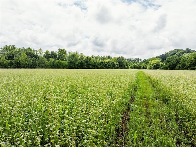 Plainfield Rd, Kimbolton, OH 43749 - photo 16