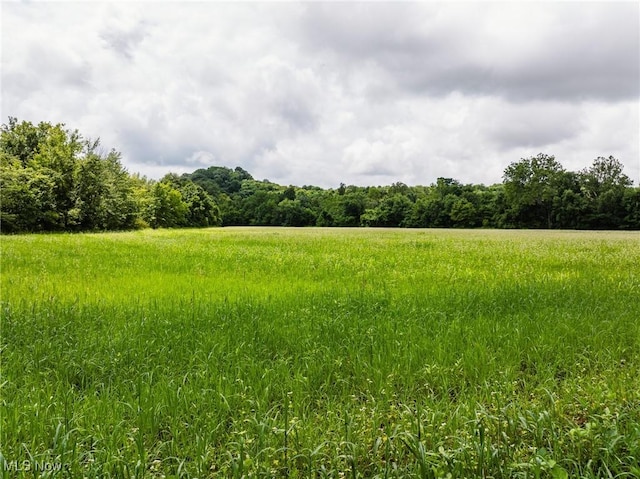 Plainfield Rd, Kimbolton, OH 43749 - photo 17