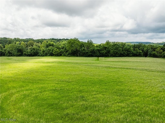 Plainfield Rd, Kimbolton, OH 43749 - photo 20