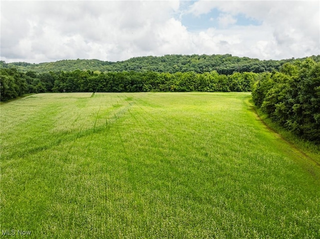 Plainfield Rd, Kimbolton, OH 43749 - photo 22