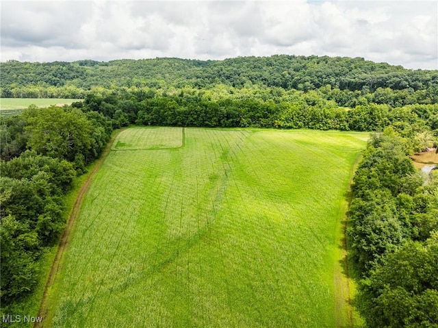 Plainfield Rd, Kimbolton, OH 43749 - photo 23