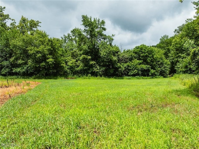 Plainfield Rd, Kimbolton, OH 43749 - photo 48