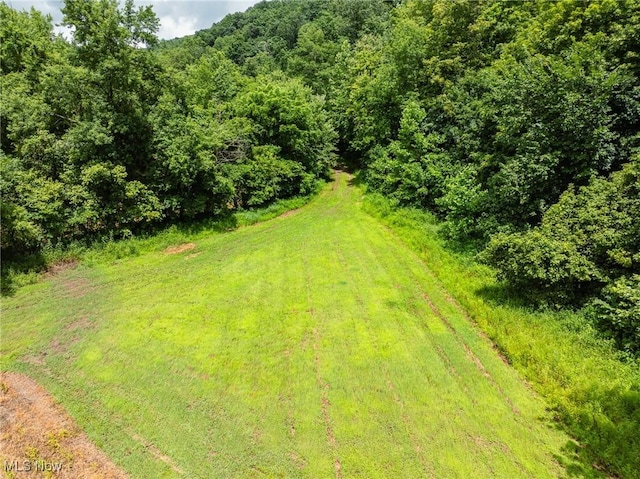 Plainfield Rd, Kimbolton, OH 43749 - photo 42