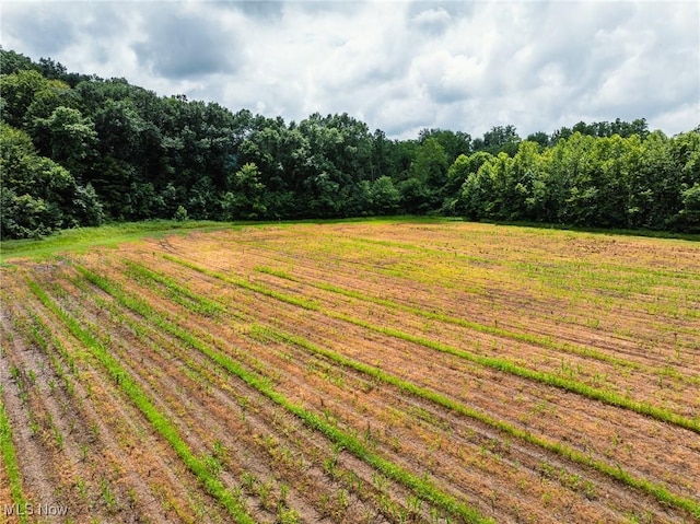 Plainfield Rd, Kimbolton, OH 43749 - photo 45