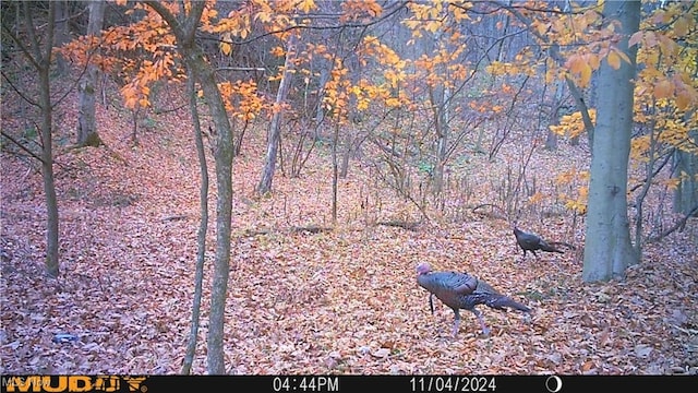 Hazel Run Rd, Salineville, OH 43945 - photo 10