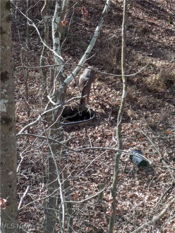 Hazel Run Rd, Salineville, OH 43945 - photo 11