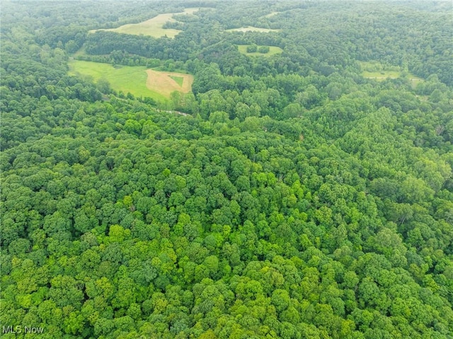 Hazel Run Rd, Salineville, OH 43945 - photo 12
