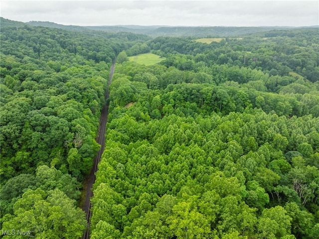 Hazel Run Rd, Salineville, OH 43945 - photo 13