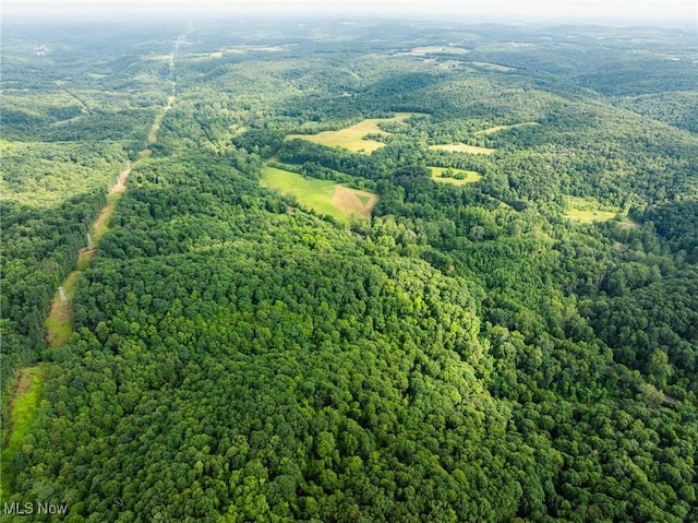 Hazel Run Rd, Salineville, OH 43945 - photo 15