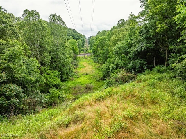 Hazel Run Rd, Salineville, OH 43945 - photo 16