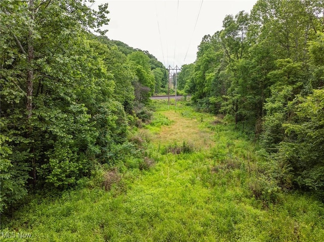 Hazel Run Rd, Salineville, OH 43945 - photo 17