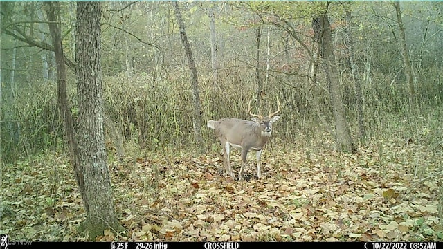 Hazel Run Rd, Salineville, OH 43945 - photo 2