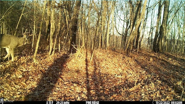 Hazel Run Rd, Salineville, OH 43945 - photo 3
