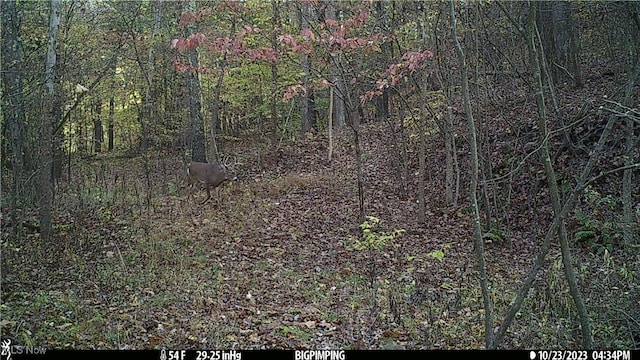 Hazel Run Rd, Salineville, OH 43945 - photo 4