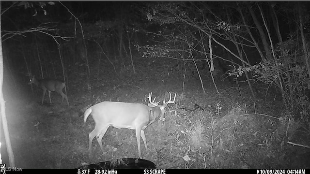 Hazel Run Rd, Salineville, OH 43945 - photo 5