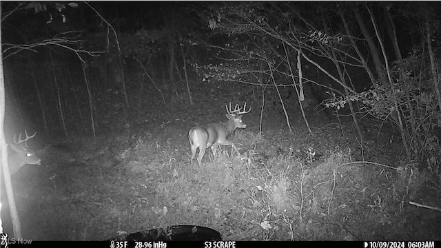 Hazel Run Rd, Salineville, OH 43945 - photo 6