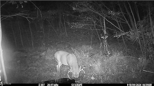 Hazel Run Rd, Salineville, OH 43945 - photo 7