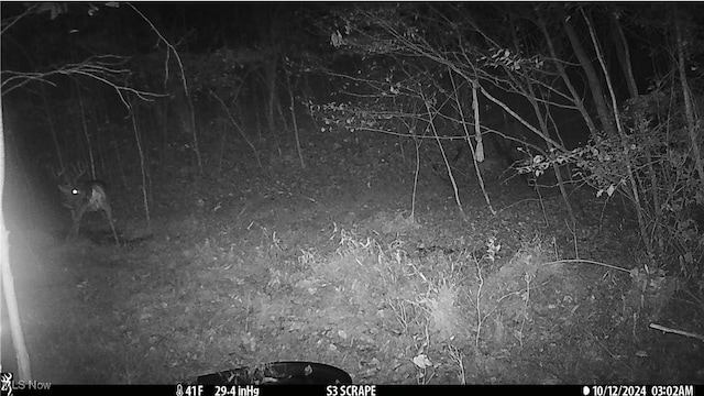 Hazel Run Rd, Salineville, OH 43945 - photo 8