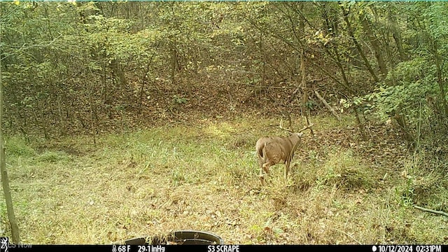 Hazel Run Rd, Salineville, OH 43945 - photo 9