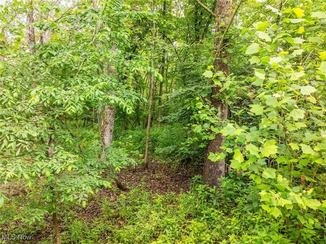 Hazel Run Rd, Salineville, OH 43945 - photo 18