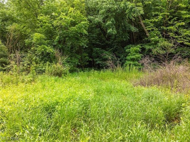 Hazel Run Rd, Salineville, OH 43945 - photo 19