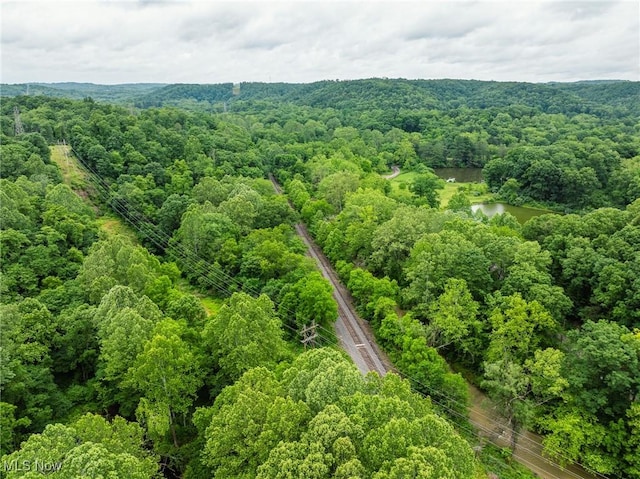 Hazel Run Rd, Salineville, OH 43945 - photo 21