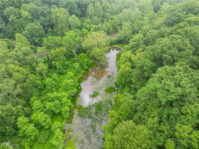 Hazel Run Rd, Salineville, OH 43945 - photo 24