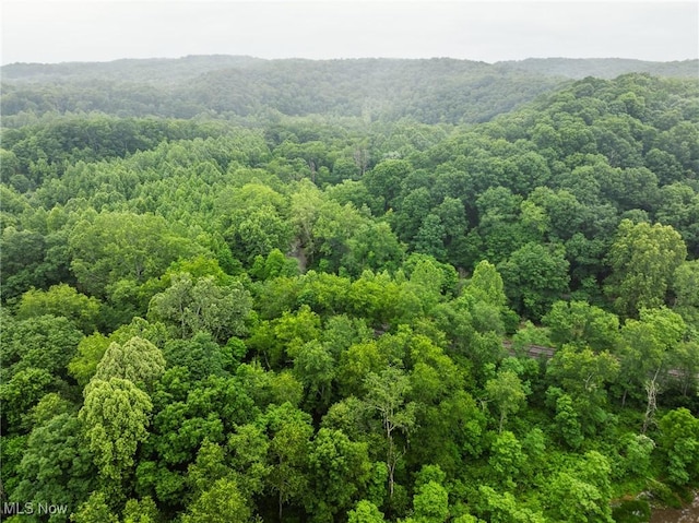 Hazel Run Rd, Salineville, OH 43945 - photo 25