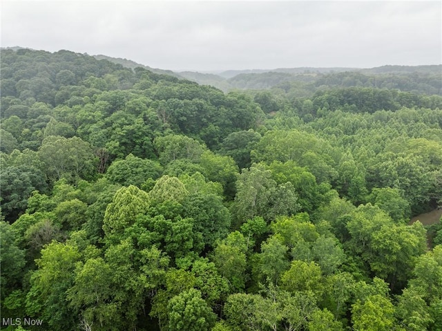 Hazel Run Rd, Salineville, OH 43945 - photo 26