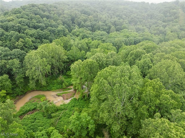 Hazel Run Rd, Salineville, OH 43945 - photo 27