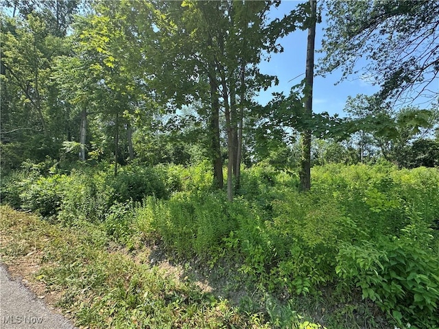 Denver Ave, Lorain, OH 44055 - photo 1