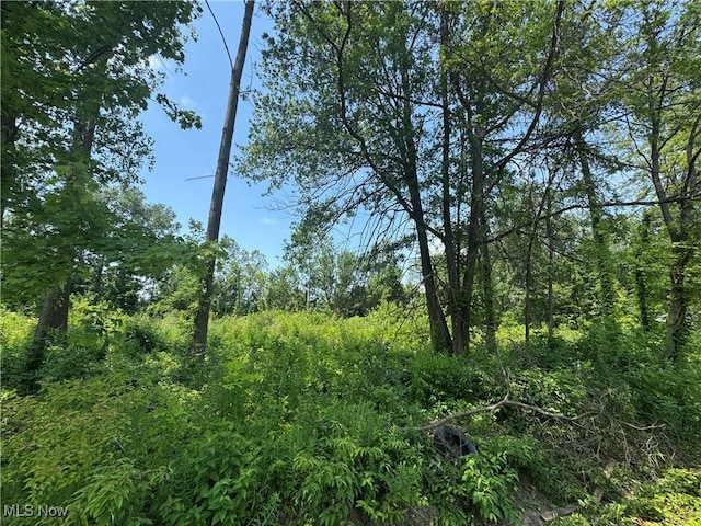 Denver Ave, Lorain, OH 44055 - photo 2