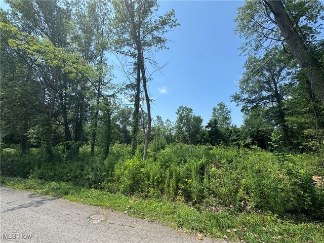 Denver Ave, Lorain, OH 44055 - photo 5