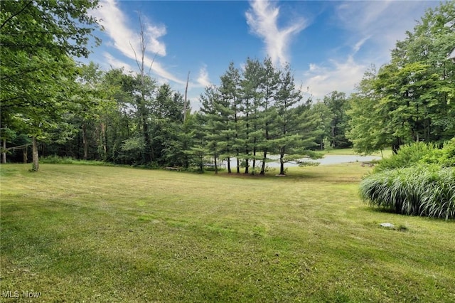 11060 Taylor May Rd, Chagrin Falls, OH 44023 - photo 34