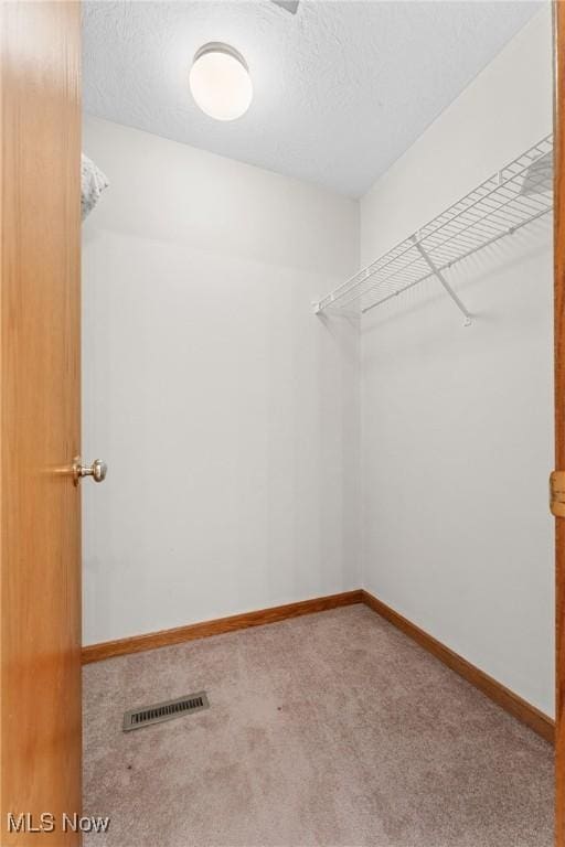 10850 Lampe Ln NE, Magnolia, OH 44643 - photo 27